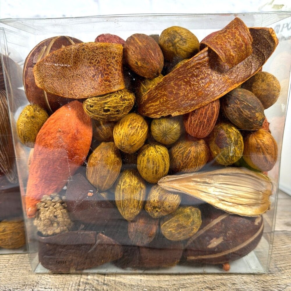 Spiced Pumpkin Potpourri World Market Fall Harvest Home Table Décor Bowl Filler - Picture 4 of 10
